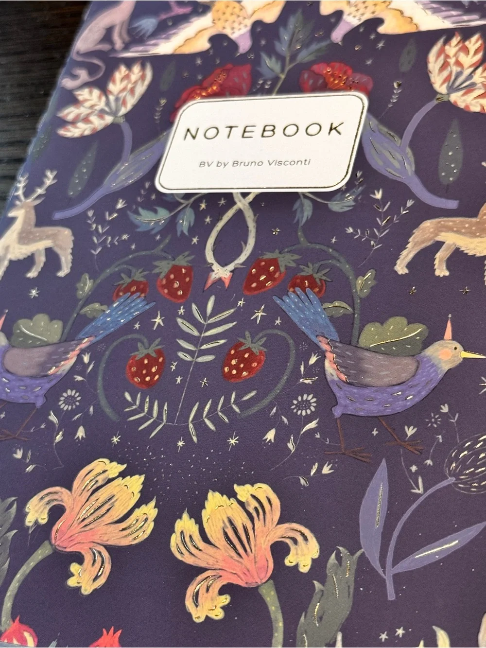 Bruno Visconti Soft Touch Fairytale Notebook Journal A5 NEW